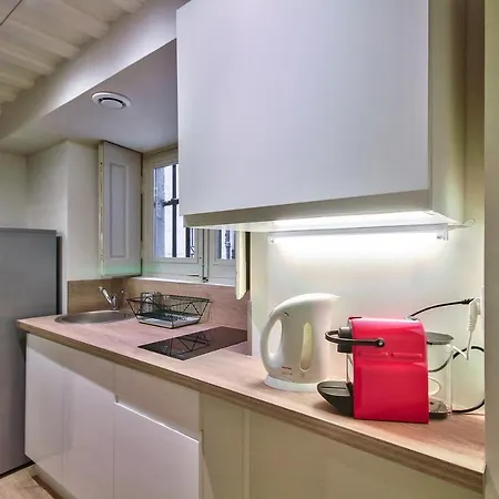 L'atelier Lyonnais Appartement *